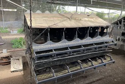 תאי הטלה לול חופש