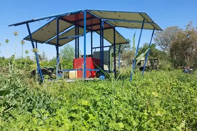 עגלת חשמל סולארית