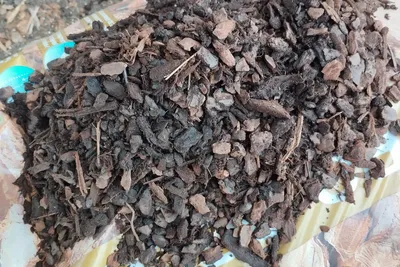 תערובת קליפות אורן 8-15m
