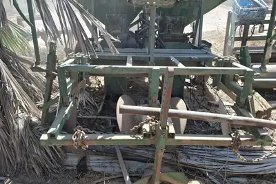 מזרעה