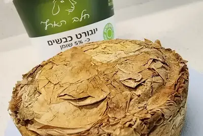 עלי טבק אורגניים מיובשים טבעי ומיושנים בכבישה